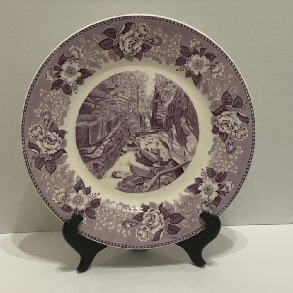 Gorgeous Antique English Staffordshire Porcelain Souvenir Plate “The Flume”